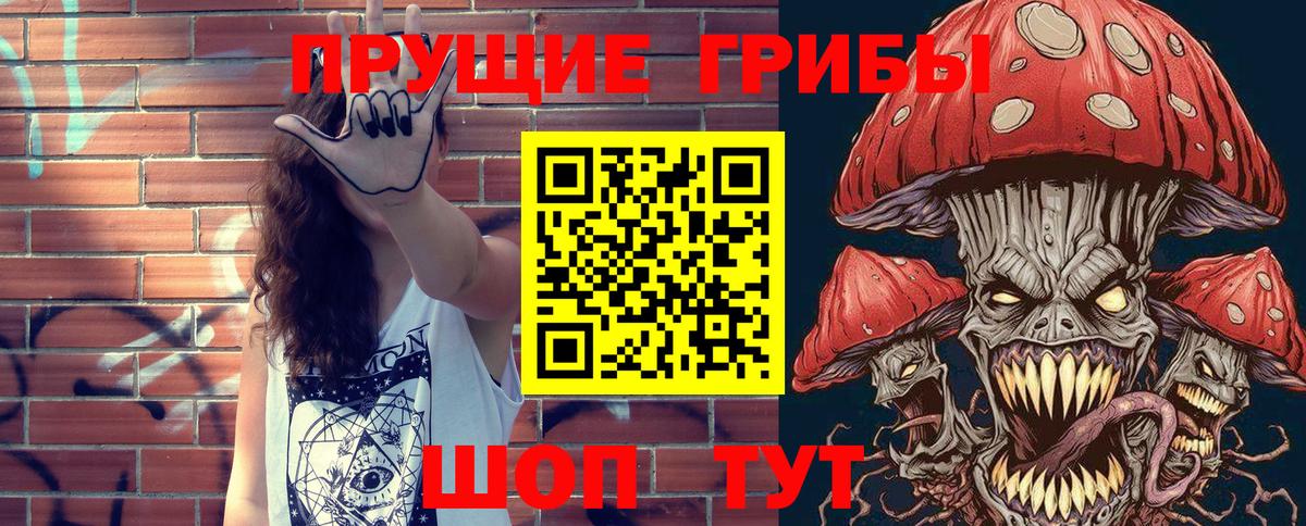 Псилоцибиновые грибы GOLDEN TEACHER Киселёвск